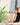 Bild: Bambus Socken Damen